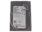 Seagate ST3250312AS 250GB SATA3 7200rpm 8MB NCQ HDD