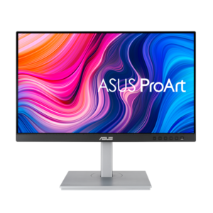 ASUS Dis 24 PA247CV Professional