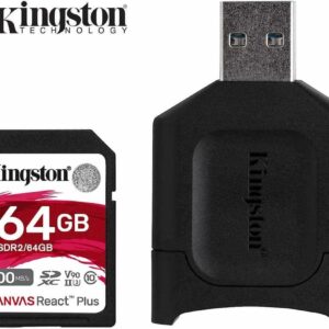 Kingston 300/260MB/s Read/Write