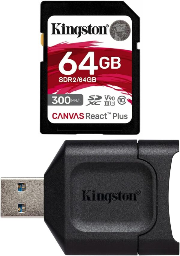 Kingston 300/260MB/s Read/Write