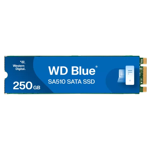 Western Digital 250GB WD Blue SA510 SATA Internal Solid State Drive SSD - SATA III 6 Gb/s, M.2 2280, Up to 555 MB/s - WDS250G3B0B
