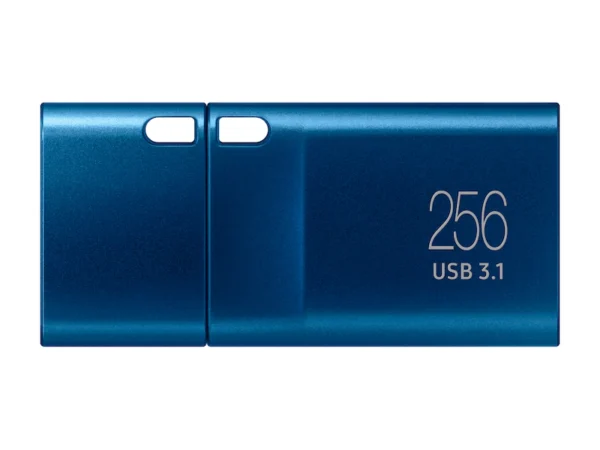 SAMSUNG MUF-256DA/APC TYPE C PLUS USB FLASH DRIVE - 256GB BLUE - Image 2