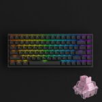 Akko 3084S 75% Percent 84-Key RGB Hot-swappable Mechanical Gaming Keyboard, USB-Type C Wired with ASA Profile Shine-Through PBT Double-Shot Keycaps for Mac & Win (Black, Jelly Pink Switches)