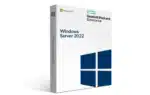 Hewlett Packard Enterprise P11077-371 MS WS19 5USR CAL en/ko/ja LTU