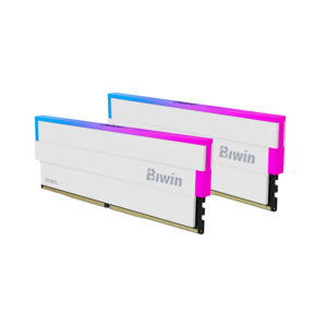 BIWIN DW100 Black Opal RGB DDR5 Memory Kit 32GB (2?16?GB) 6000?MT/s CL36(BXL53260DW1-D36DW)