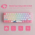 AKKO AK-6925758618182 Akko World Tour Tokyo 3061S 60% Pink Wired Mechanical Gaming Keyboard, RGB Backlit, Hot-swappable Wired with OSA Profile PBT Keycaps and NKRO (Jelly Pink Switches)