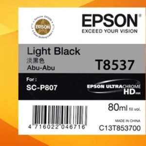 EPSON C13T853700 Epson P807 LIGHT BLACK IC (80ML)