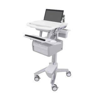 Ergotron SV43-11C0-0 StyleView Laptop Cart, Tall Double Drawer