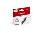 Canon 6684C001AA Canon CLI‑731 GY Gray Ink Cartridge